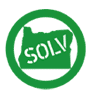 logo_solv_masthead02